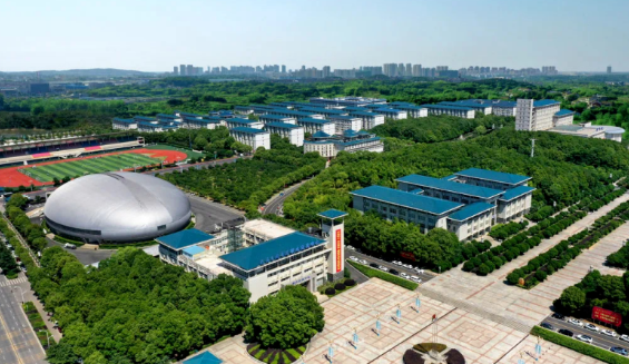 助力高等教育创新升维，金年会交付“满分答卷”